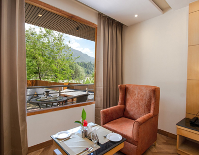 Premium Valley View Room